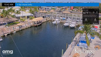 Live Cam Key Largo - Florida
