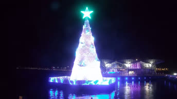 Geelong - Plavajoče božično drevo