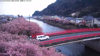 Webcam en direct Izu - Japon