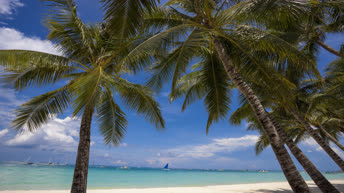 Παραλία Greenyard Bulabog Kite - Boracay Island