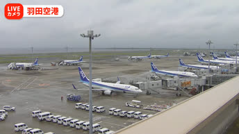 Kamera na żywo Tokio - Międzynarodowy port lotniczy Haneda