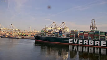 Webcam en direct Port de Rotterdam