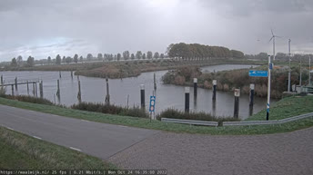 Waalwijk - Holandia