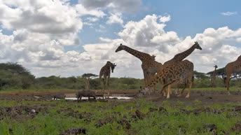 ol Donyo Wildlife - Kenija