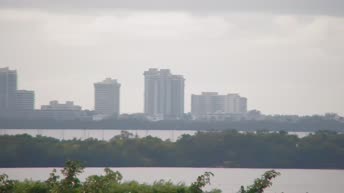 Miami Webcam
