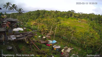 Webcam en direct Rizières - Bali