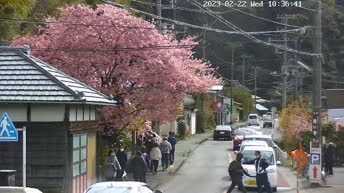 Kamera v živo Ulice Shizuoke - Japonska