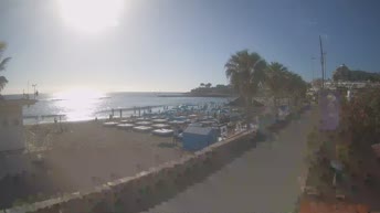 flotador Guau Senador EN VIVO】 Cámara web en Playa de Troya - Las Américas - Tenerife
