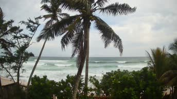 Web Kamera uživo Plantations Beach - Šri Lanka