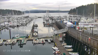 Webcam en direct Friday Harbor - Washington