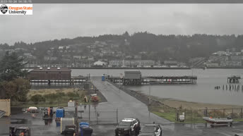 Webcam en direct Newport - Quai des opérations maritimes