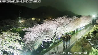 Webcam en direct Rivière Kawazu - Japon