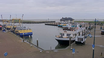 Live Cam Oudeschild Port - Holland