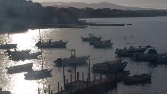 Webcam en direct Le port de Castiglioncello - Livourne