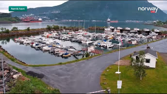 Webcam Marina di Narvik - Norvegia