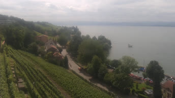 Webcam en direct Meersburg - Lac de Constance