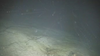 Webcam Underwater cam in Strongyli of Chalki