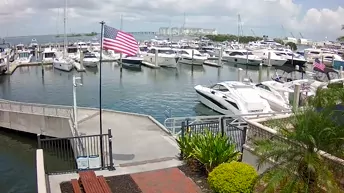 Webcam Westshore Yacht Club Marina - Tampa