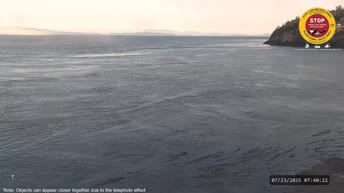 Parc d'État de Lime Kiln Point - Washington