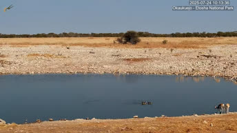 Okaukuejo - Parc national d'Etosha