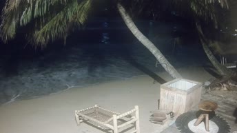 Kamera v živo Dewata Beach - Šrilanka