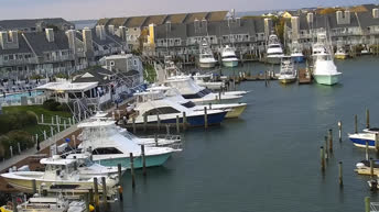 Live Cam Ocean City Marina - Maryland