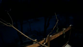 Cámara web en vivo Misisipi - Minnesota