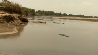 赞比亚-南卢安瓜国家公园