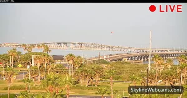 Actualizar 118+ imagen south padre island webcam bridge