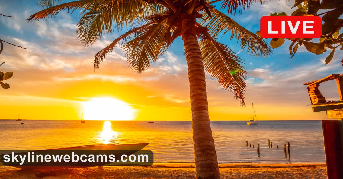 【LIVE】 Live Cam West End Roatan SkylineWebcams