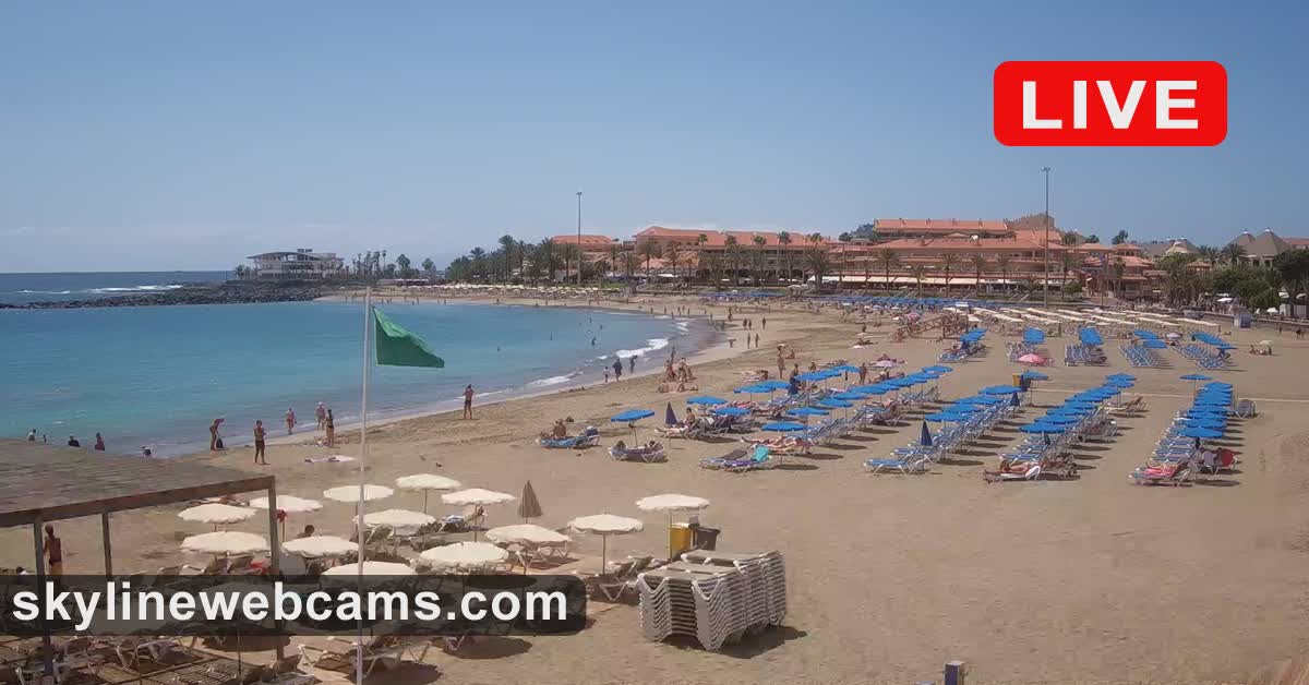 Begin Voorwaardelijk Discrimineren LIVE】 Webcam Tenerife - Playa Las Vistas | SkylineWebcams