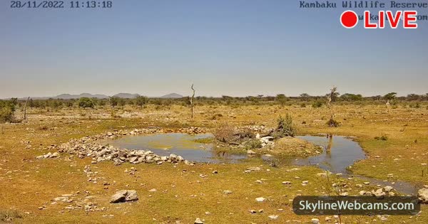 【LIVE】 Live Cam Namibia - Kambaku Wildlife Reserve | SkylineWebcams