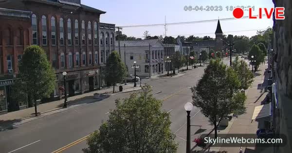 【LIVE】 Webcam Marshall - Michigan | SkylineWebcams