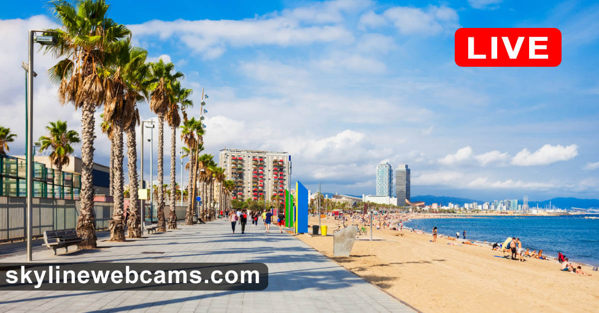 beschermen Parana rivier Leugen LIVE】 Webcam Barceloneta - Sant Sebastià Beach | SkylineWebcams