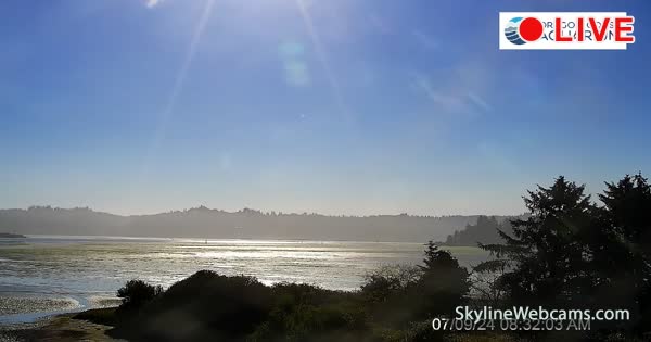 【LIVE】 Webcam Newport - Oregon Coast Aquarium | SkylineWebcams