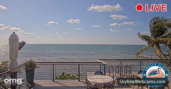 【LIVE】 Live Cam Grassy Key - Florida | SkylineWebcams