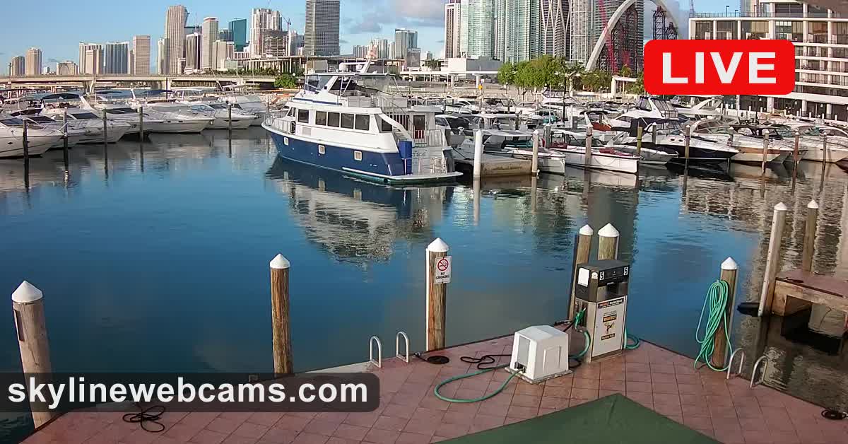 www.skylinewebcams.com